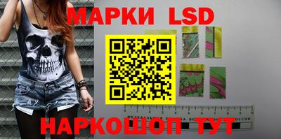 герыч Кингисепп