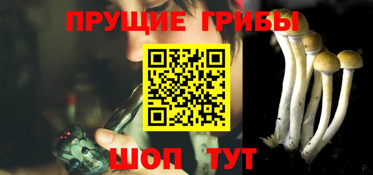 Псилоцибиновые грибы Magic Shrooms Кузнецк